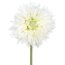 Kunstblume Gerbera gefüllt, 10er Set, Farbe creme, Höhe ca. 60 cm
