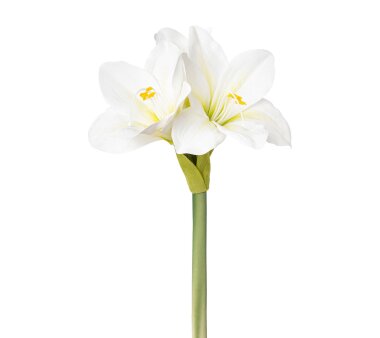 2er Amaryllis, Weiß kaufen Set, Kunstblume