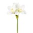 Kunstblume Amaryllis, 5er Set, Farbe weiß, Höhe ca. 37 cm