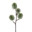 Kunstpflanze Kiefernzweig, 2er Set, Farbe grün, Höhe ca. 64 cm
