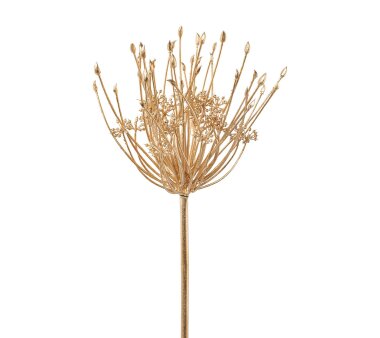 Kunstblume Allium, 2er Set, Farbe gold, Höhe ca. 82 cm