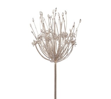 Kunstblume Allium, 2er Set, Farbe champagner, Höhe...