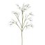 Kunstpflanze Jasminzweig, 6 er Set, Farbe weiß, Höhe ca. 66 cm