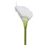 Kunstblume Calla, 4er Set, Farbe weiß, Höhe ca. 72 cm