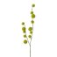 Kunstpflanze Klettenzweig, 3 er Set, Farbe grün, Höhe ca. 105 cm