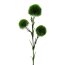 Kunstblume Dianthus, 4er Set, Farbe grün, Höhe ca. 62 cm