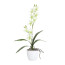 Kunstpflanze Orchidee Dendrobie, Farbe hellgrün, inkl. Keramiktopf, Höhe ca. 60 cm