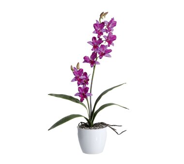 Kunstpflanze Orchidee cm 60 Wohnfuehlidee lila, bei 