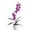 Kunstpflanze Orchidee Dendrobie, Farbe lila, inkl. Keramiktopf, Höhe ca. 60 cm