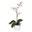 Kunstpflanze Phalaenopsis Cassandra, Farbe weiß-lila, inkl. Keramiktopf, Höhe ca. 55 cm