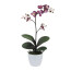 Kunstpflanze Phalaenopsis Cassandra, Farbe lila, inkl. Keramiktopf, Höhe ca. 55 cm