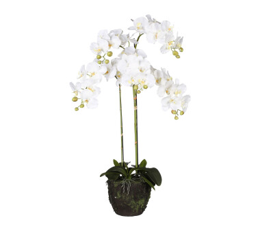 Kunstpflanze Phalaenopsis mit Ballen, Farbe weiß,...