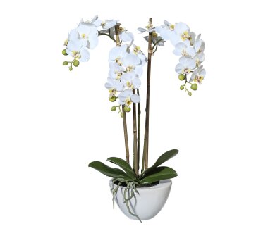 Kunstpflanze Miniphalaenopsis, Farbe weiß, inkl....