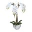 Kunstpflanze Miniphalaenopsis, Farbe weiß, inkl. Keramikschale, Höhe ca. 51 cm