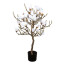 Kunstpflanze Magnolienbaum, Farbe weiß, inkl. Topf, Höhe ca. 94 cm