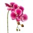 Kunstblume Phalenopsis 3D-Print, 4er Set, Farbe pink, Höhe ca. 42 cm