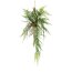 Kunstpflanze Hängeast mit Asparagus, Farbe grün, Höhe ca. 70 cm