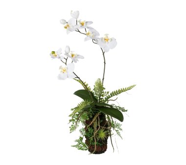 Kunstpflanze Orchideen-Farn-Arrangement, Farbe...