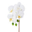 Kunstblume Phalenopsis, 4er Set, Farbe weiß, Höhe ca. 44 cm