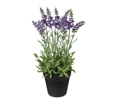 Lila Flieder kaufen Set, 3er Kunstpflanze Lavendel, /