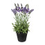 Kunstpflanze Lavendel, 2er Set, Farbe flieder, inkl. Topf, Höhe ca. 35 cm
