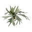 Kunstpflanze Geweihfarn, 2er Set, Farbe grün, Höhe ca. 35 cm