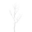 Kunstpflanze Dekoast, 2er Set, Farbe weiß, Höhe ca. 73 cm