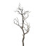 Kunstpflanze Dekoast, 2er Set, Farbe natur, Höhe ca. 73 cm