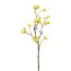 Kunstpflanze Scheinquittenzweig, 4er Set, Farbe gelb, Höhe ca. 51 cm