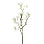 Kunstpflanze Scheinquittenzweig, 4er Set, Farbe weiß, Höhe ca. 51 cm