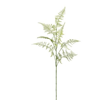Kunstpflanze Asparaguszweig, 2er Set, Farbe grün,...