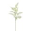 Kunstpflanze Asparaguszweig, 2er Set, Farbe grün, Höhe ca. 83 cm