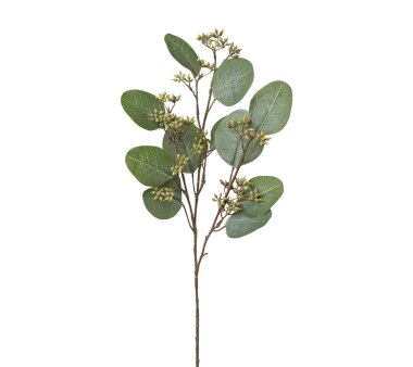 Kunstpflanze Eukalypthuszweig, 3er Set, Farbe grün,...