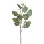 Kunstpflanze Eukalypthuszweig, 3er Set, Farbe grün, Höhe ca. 52 cm