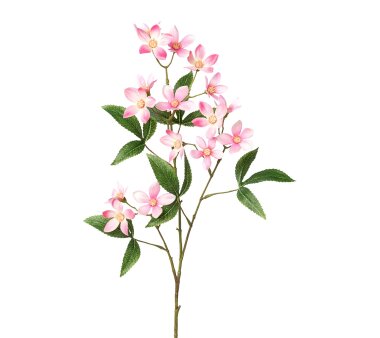 Kunstpflanze Ceratopetalumzweig, 2er Set, Farbe rosa,...