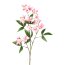 Kunstpflanze Ceratopetalumzweig, 2er Set, Farbe rosa, Höhe ca. 70 cm