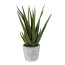 Kunstpflanze Aloe, Farbe grün, inkl. Zementtopf, Höhe ca. 40 cm