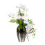 Kunstpflanze Phalaenopsisarrangement, Farbe weiß, inkl. Keramikvase, Höhe ca. 70 cm