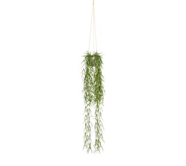 Kunstpflanze Tillandsia aeranthos, Farbe grün, inkl....