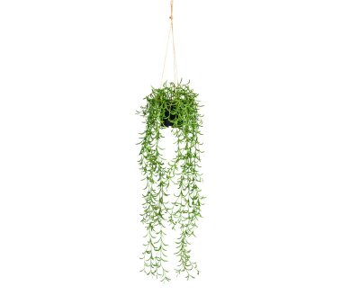 Kunstpflanze Nerifoliahänger, Farbe grün, inkl....