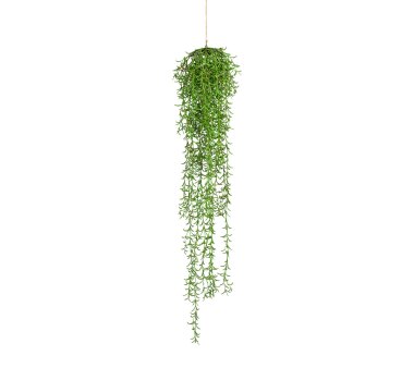 Kunstpflanze Nerifoliahängezopf, Farbe grün,...