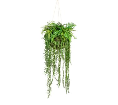 Kunstpflanze Dekokugel, Farbe grün, 40x120 cm