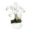 Kunstpflanze Phalenopsis, Farbe weiß, inkl. weißer Vase, Höhe ca. 75 cm