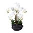 Kunstpflanze Phalenopsis, Farbe weiß, inkl. schwarzer Vase, Höhe ca. 75 cm