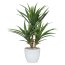 Kunstpflanze Yucca, Farbe grün, inkl. Keramiktopf, Höhe ca. 70 cm