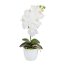 Kunstpflanze Phalaenopsis, 2er Set, Farbe weiß, inkl. Keramiktopf, Höhe ca. 40 cm