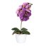 Kunstpflanze Phalaenopsis, 2er Set, Farbe lila, inkl. Keramiktopf, Höhe ca. 40 cm