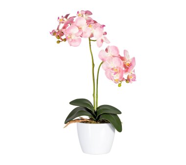 Kunstpflanze Phalaenopsis, 2er Set, Farbe rosa, inkl....