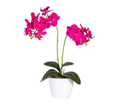 Kunstpflanze Phalaenopsis, 2er Set, Farbe pink, inkl....