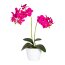 Kunstpflanze Phalaenopsis, 2er Set, Farbe pink, inkl. Keramiktopf, Höhe ca. 50 cm